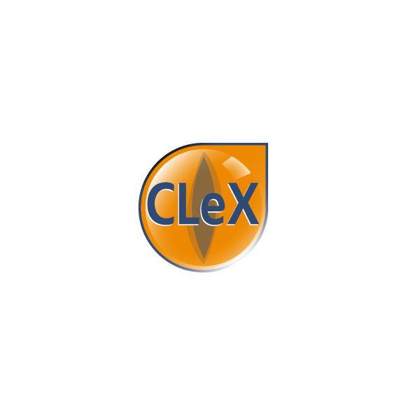 Creation du logo Corporate LinX eXchange - Laure Drucy