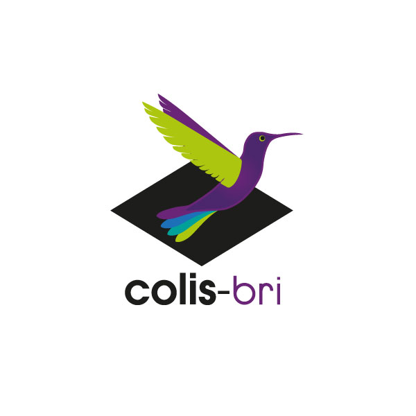 Logo-Colis-bri - Colis-privé - Design : Laure Drucy